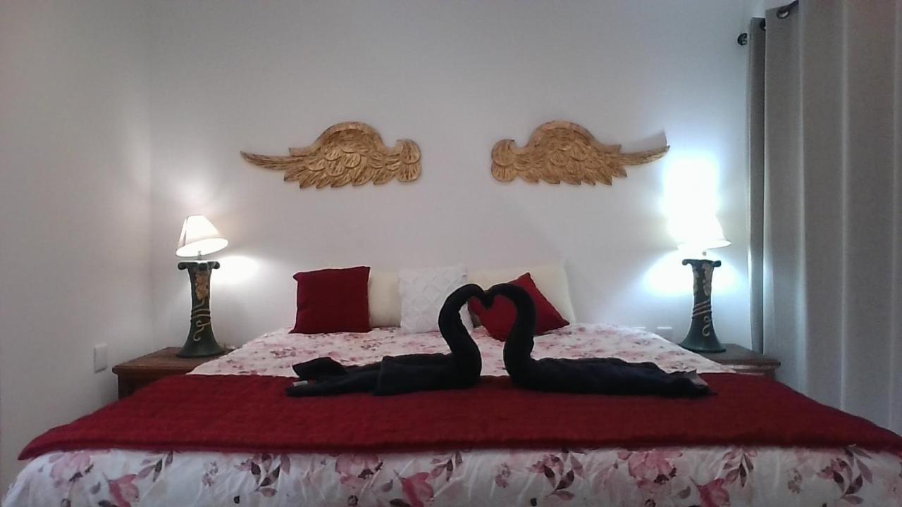 Bellas Villas Villa Sol Hermosa Casa Y Accecible Precio サン・ミゲル・デ・アジェンデ エクステリア 写真